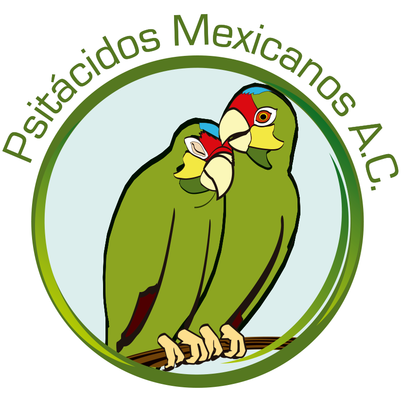 Logo Psitácidos Mexicanos A.C.